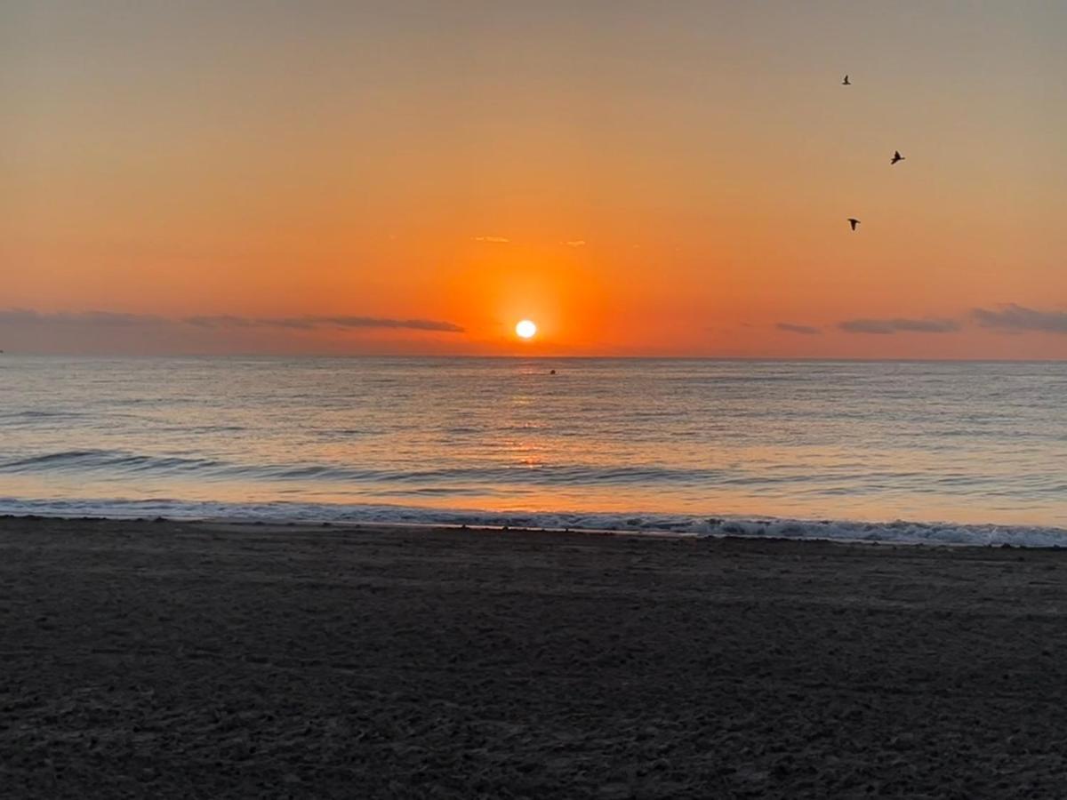 La Casa De La Playa Daire Torre de la Horadada Dış mekan fotoğraf